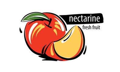 Drawn vector nectarine on a white background