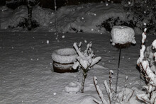 Schnee, Winter, Garten