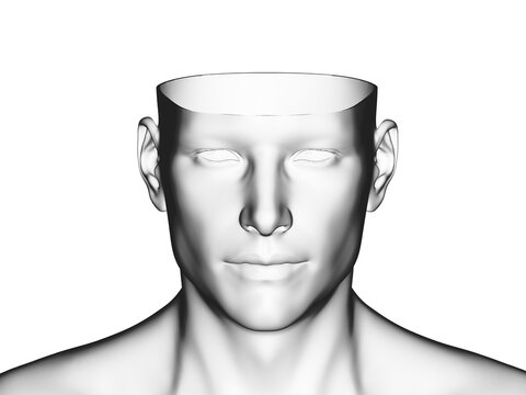 3d rendered medically accurate illustration of a cut open head