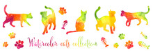 Set Of Colorful Rainbow Silhouettes Of Watercolor Cat And Paws Isolated On White Background.