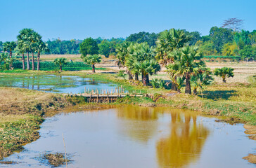 Canvas Print - The dam on the creek, Bago Region, Myanmar