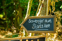 Scavenger Hunt Sign In Lush Forest Woodland