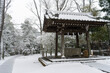 東京都杉並区和泉）雪の中の和泉熊野神社の手水舎