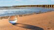 Ostsee - Buhnen am Meer auf Usedom mit Glaskugel im Vordergrund
