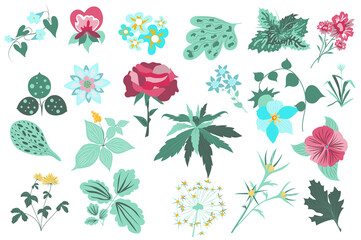 Poster - Flower and plants isolated set. Rose, green leaves, blooming wildflowers, flowering plants. Garden and wild foliage botanical decor. Bundle of floral elements. Illustration in hand drawn design