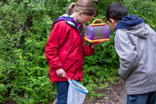 Elementary Students Chasing Bugs On Outdoor Field Trip