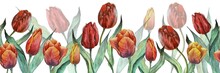 Watercolor Seamless Pattern With Tulip Flowers. Hand Painted Repeating Ornament For Your Design, Wallpaper, Textile, Background And More. Floral Horizontal Border. Botanical Illustration. 