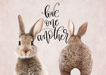 Wall Mural - isolated Bunnies love one another with pink background