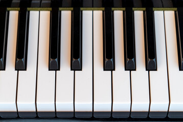 Piano keys from black classic musical piano. Learn how to play background. White piano keys