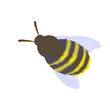 The bumblebee is shaggy. Vector stock illustration. Isolated on a white background. A winged insect. A honey-bearing animal.