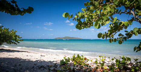 Buck Island National Monument, St. Croix, US Virgin Islands