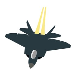 Wall Mural - modern stealth jet fighter vector design