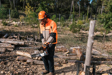 Lumberjack With Chainsaw Cutting Log