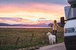 © Daniel Gonzalez/Stocksy - A woman and her dog with the parked motorhome