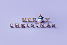 Toy Penguin With Merry Christmas Message