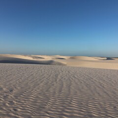 Wall Mural - sand dunes in park