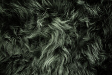 Background Of Green Fur