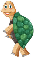 Turtle With Green Shell Cartoon Character