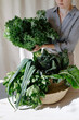 © Sergey Narevskih/Stocksy - Woman putting greenery into basket