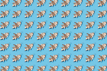 Pattern Of Painted Leaves On Blue Background