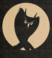 Owl Cartoon Illustration