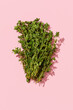 © Juan Moyano/Stocksy - bunch of fresh thyme