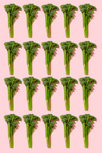 Mosaic Of Stalks Of Raw Broccolini