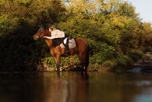 Woman On Horseback In A River