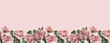 Floral banner, header with copy space. Roses isolated on pink background. Natural flowers wallpaper or greeting card.