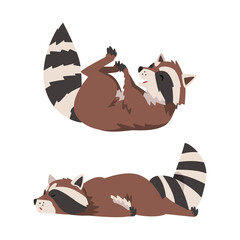 Sticker - Funny Raccoon with Striped Tail Rolling on Its Back and Lying Vector Set