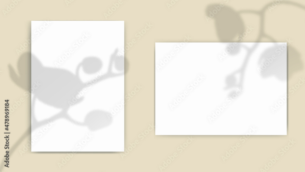 A4 paper mockup with overlay leaves shadow from window. Orhid ...