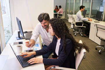 Businessman helping trainee on laptop computer in office