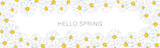Hello Spring banner or newsletter header. Tender white realistic daisy flowers. Floral promo design. Vector illustration.