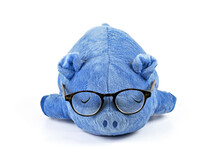 The Blue Pig Doll Wear Glasses On White Background.Concept Fat,No Exercise.wife,aunt And Education.