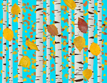 Paper Birch Tree Trunks And Falling Autumn Paper Birch Leaves Are Seen In A 3-d Illustration With A Bright Blue Background.