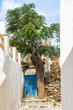 Schmale Gasse mit Baum in der Marmorstadt Pirgos auf der griechischen Kykladen Insel Tinos