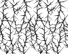 Hand Drawn Vector Seamless Black And White Pattern Of Tangled Vertical Briar Patch With Stems And Thorns.