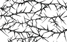 Hand Drawn Vector Seamless Black And White Pattern Of Tangled Horizontal Briar Patch With Stems And Thorns.