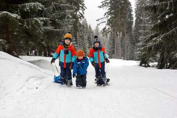 Poster - Sweet happy children, siblings, playing in the snow,