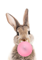 Wall Mural - Bunny with pink Bubble Gum Balloon