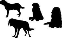 Saint Bernard Dog Silhouette Bundle SVG