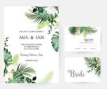 Tropical Flowers And Leaves Vector Design Cards. White Orchid, Magnolia, Dried Fern