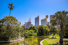 Royal Botanic Gardens Sydney Mit Blick Auf Die Skyline
