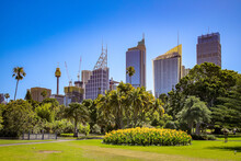 Royal Botanic Gardens Sydney Mit Blick Auf Die Skyline