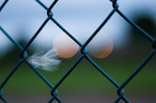 Orange Orb Bokeh Like Animal Eyes Through A Blue Green Chain Link Security Fence With A Small Feather Blowing In A Hard Breeze 