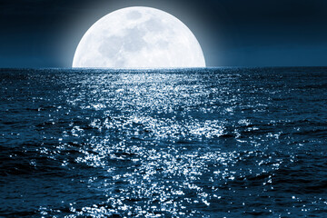 Wall Mural - very large full blue moon rises over a calm ocean scene.