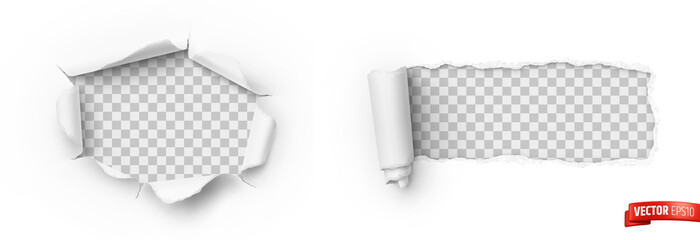 Vector realistic illustration of white ripped paper on a transparent background.