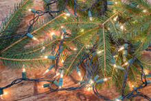 Pine Tree Bows On A Solid Wood Floor Entangled In White Holiday Christmas Light Strands