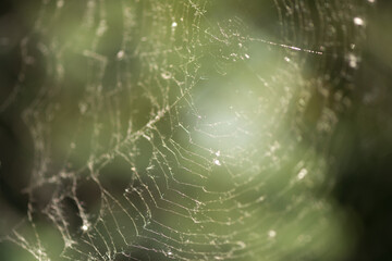abstract spider web background