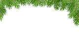 Fototapeta Do akwarium - Christmas green coniferous fir tree pine realistic dark and light background with white space with different branches. Place for website header, headline, congratulatory words. Vector illustration